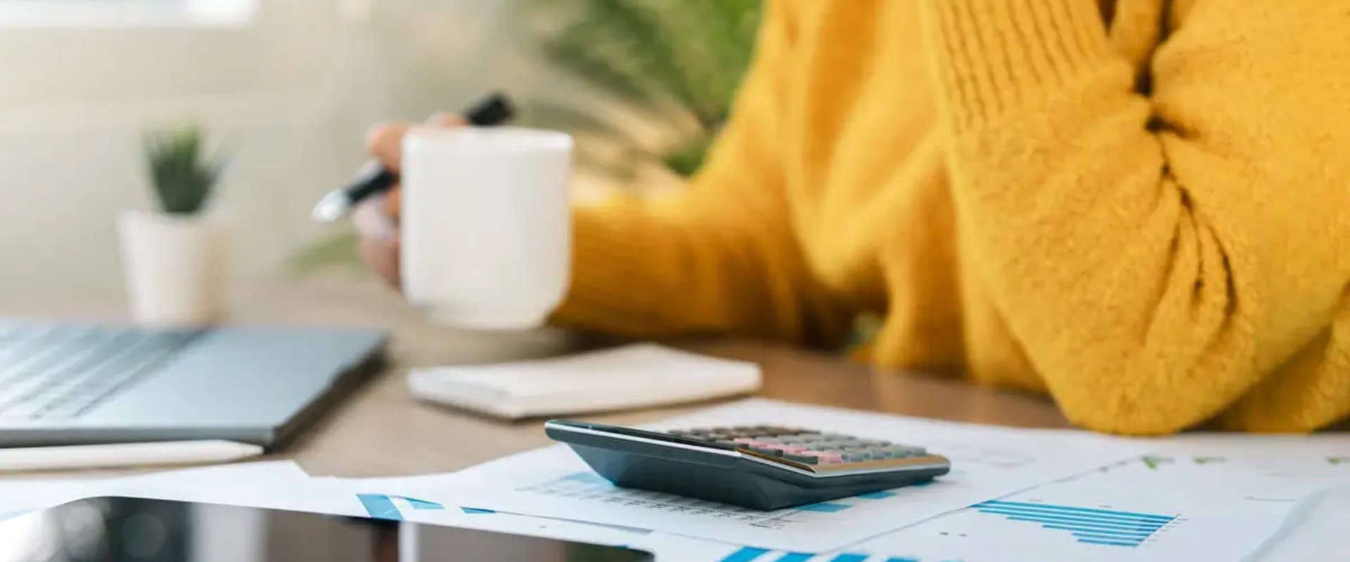 How Accounting Services for Nonprofits Empower Leaders to Focus on Their Mission