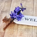 Creating an Engaging Coaching Welcome Package